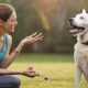 deaf dog trainers benefits