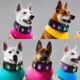 vibrating collars for deaf dogs