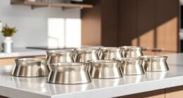 stylish elevated stainless bowls