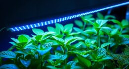 top full spectrum grow lights