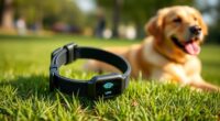 top gps dog collars