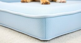 top orthopedic pet mattress selection