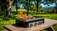 top portable gas grills