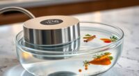 top sous vide immersion circulators