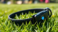 top subscription free gps collars