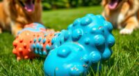 top long lasting dog chew toys