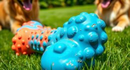 top long lasting dog chew toys