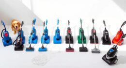 top pet carpet cleaners