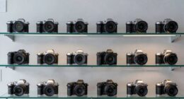 top beginner mirrorless cameras