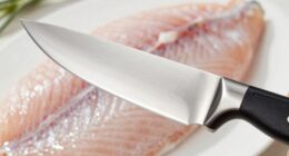 top fish fillet knife picks