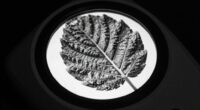 enhance visibility with contrast
