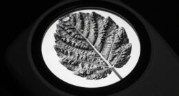 enhance visibility with contrast