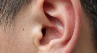 middle ear issues mimic hearing loss