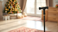 Yayayo Folding Cane: A Holiday Outing with Room to Rest